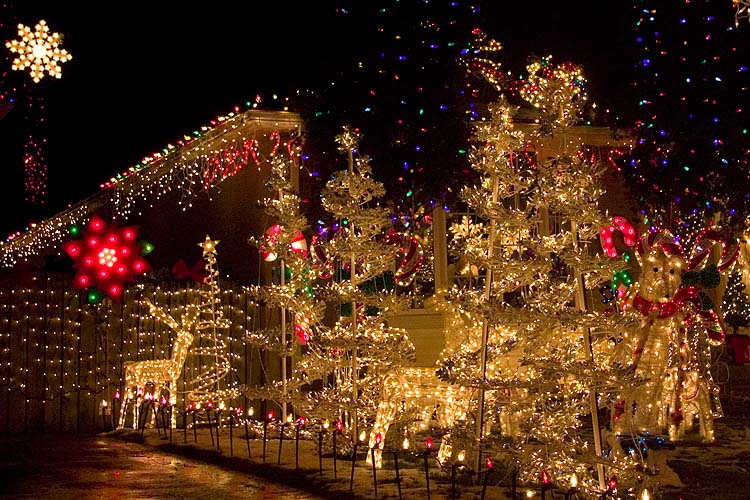 Christmas Lights