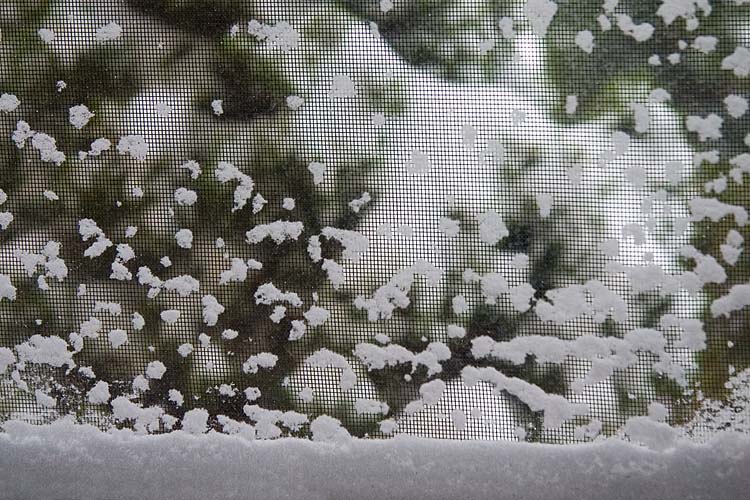 Snowy Screen