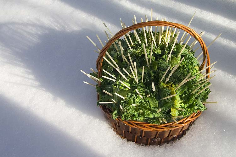Porcupine Salad