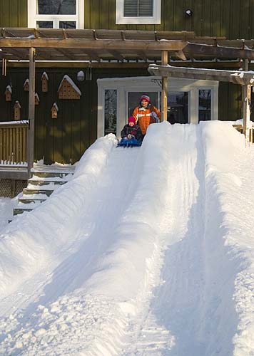 Backyard Toboggan Run