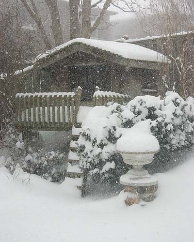 Winter Chalet