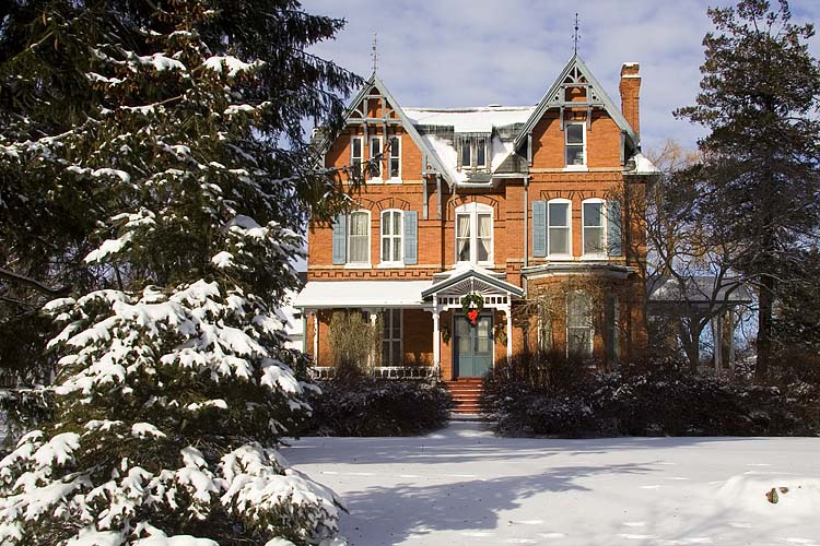 Holiday Elegance