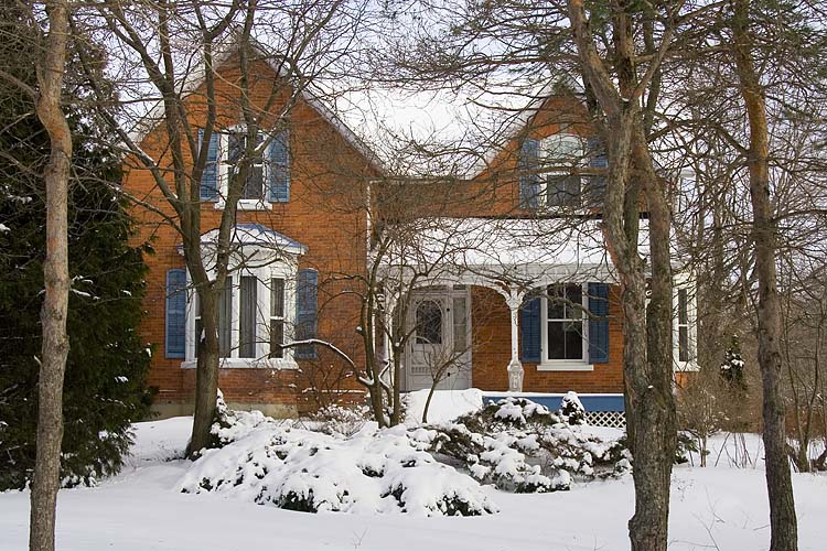 House in the Trees