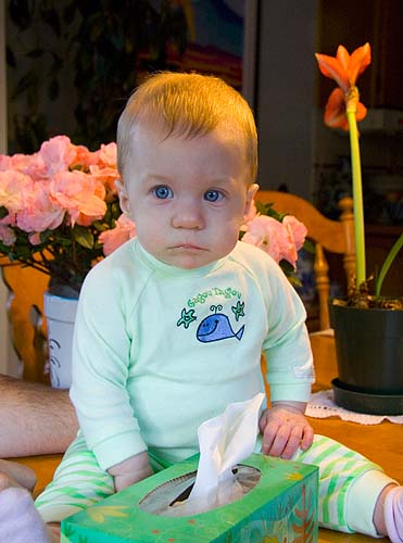 "Where's My Mommy?"
