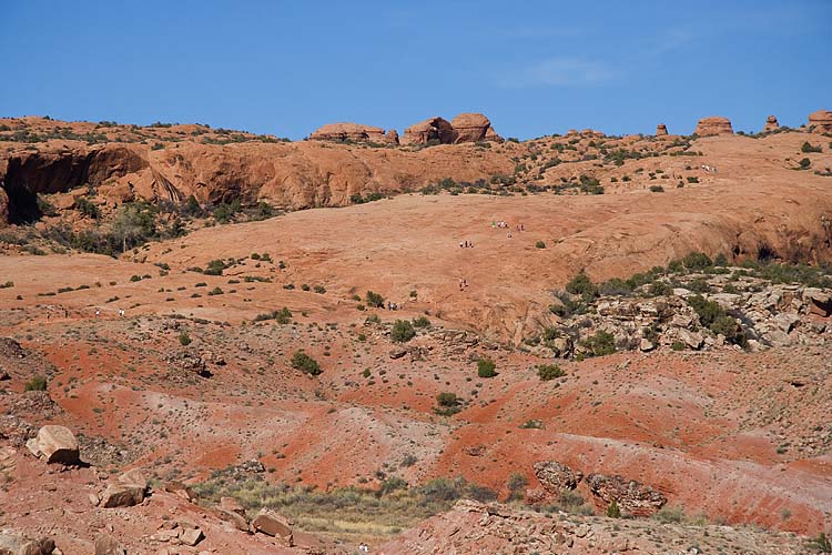 Trail Up the Slickrock