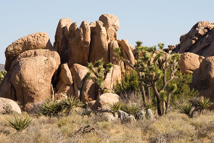 Jumbo Rocks