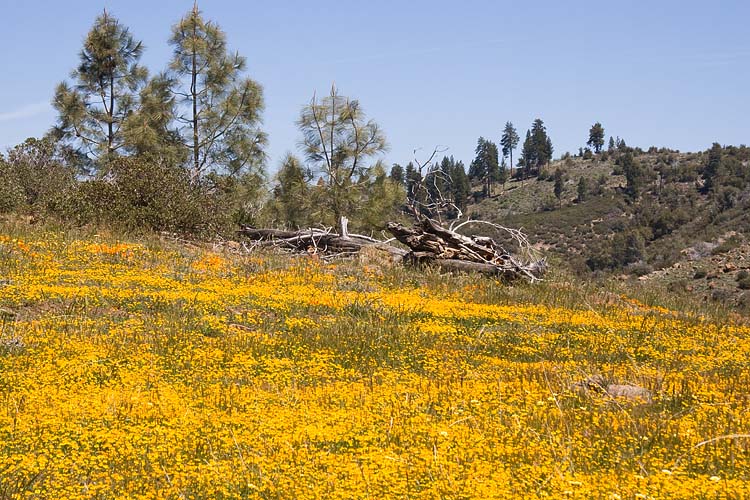 Cachuma Mountain