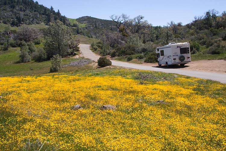 The Road Less Travelled