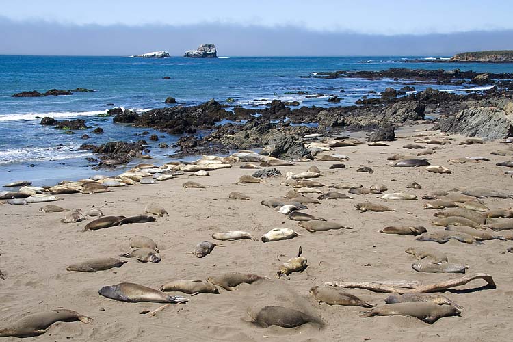 North End of the Beach