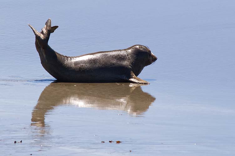 Cooling Off