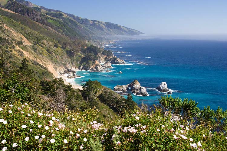 California 1 Big Sur Coast