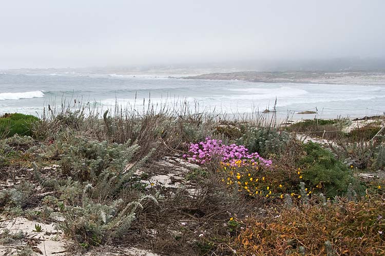 Pebble Beach