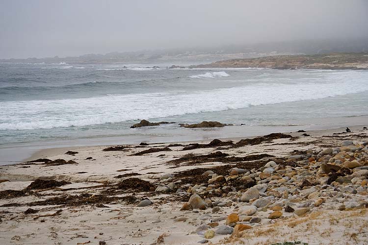 Beach, Monterey Bay