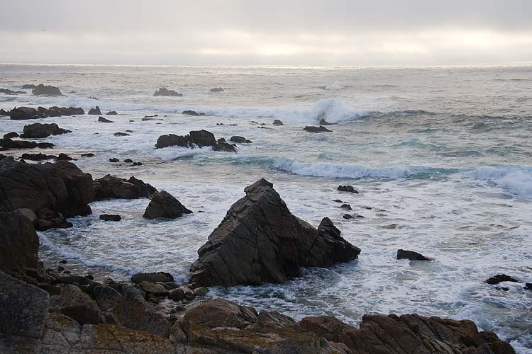 Rocky Shore
