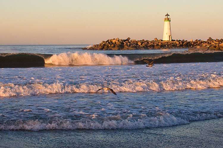 Pink Waves