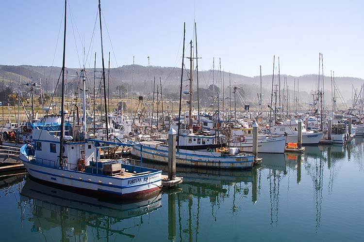 Fishing Boats