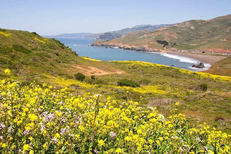 Pacific Coast
