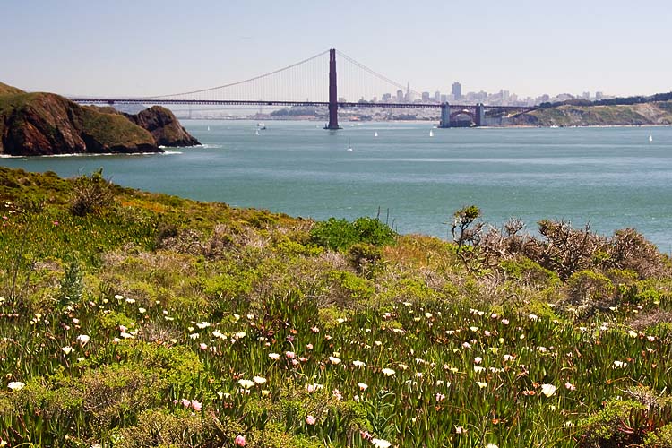 San Francisco Bay