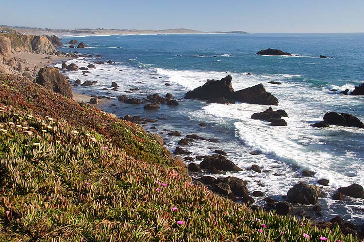 Sonoma Coast