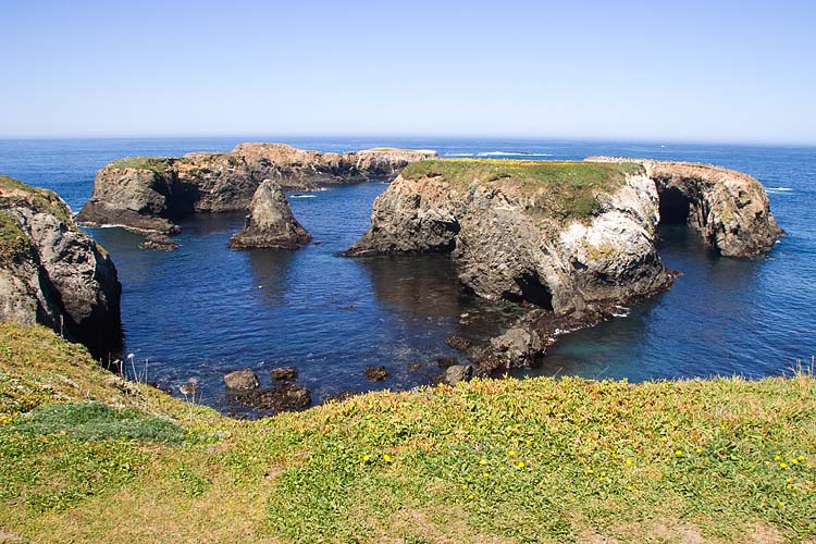 Mendocino Headlands