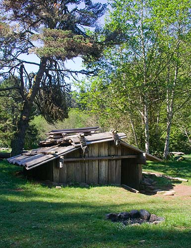 Edge of the Clearing