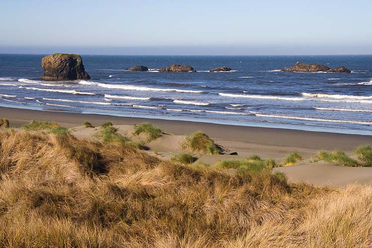 Dunes at Meyers Beach
