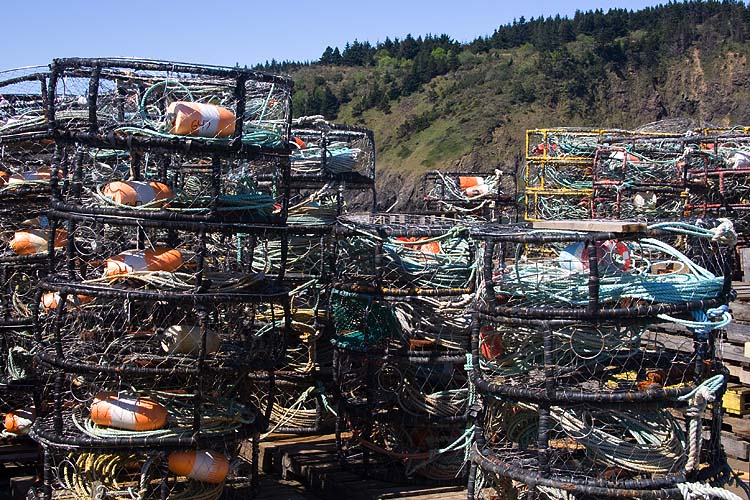 Crab Pots?