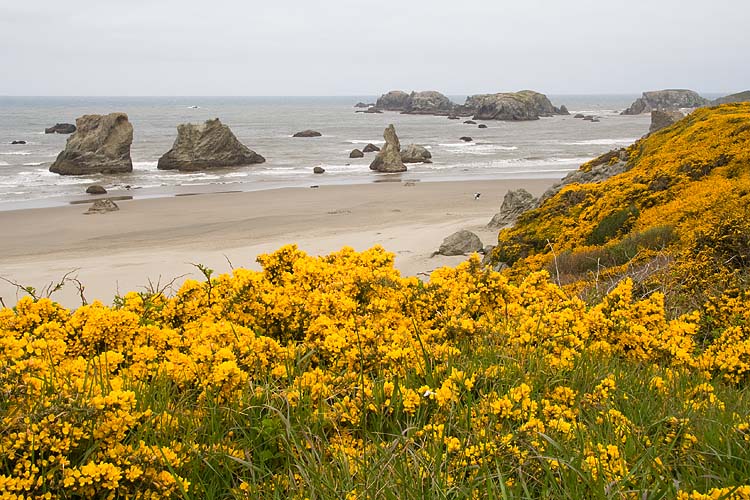Bandon Beach