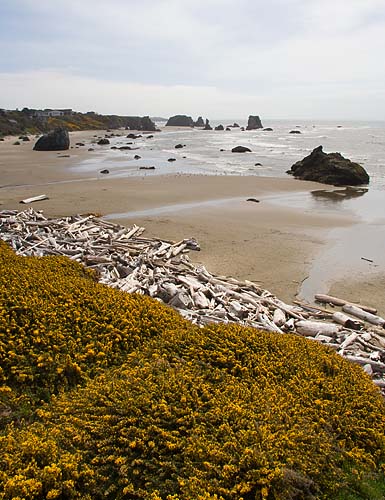 Going Down To the Beach