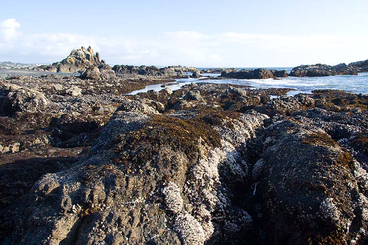 Well-Worn Rocks