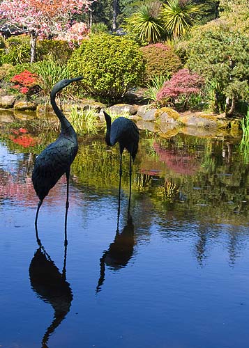 Cranes