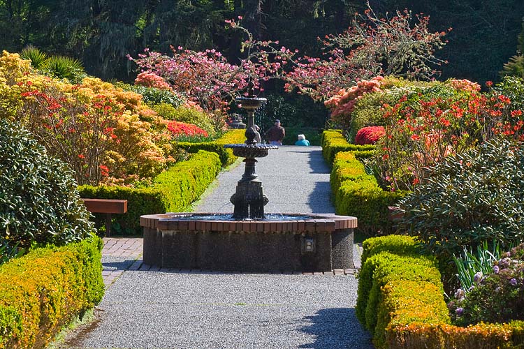 Center Of the Formal Garden