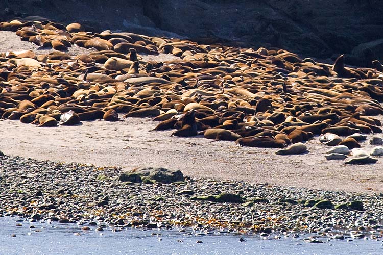Closer look at Shell Island