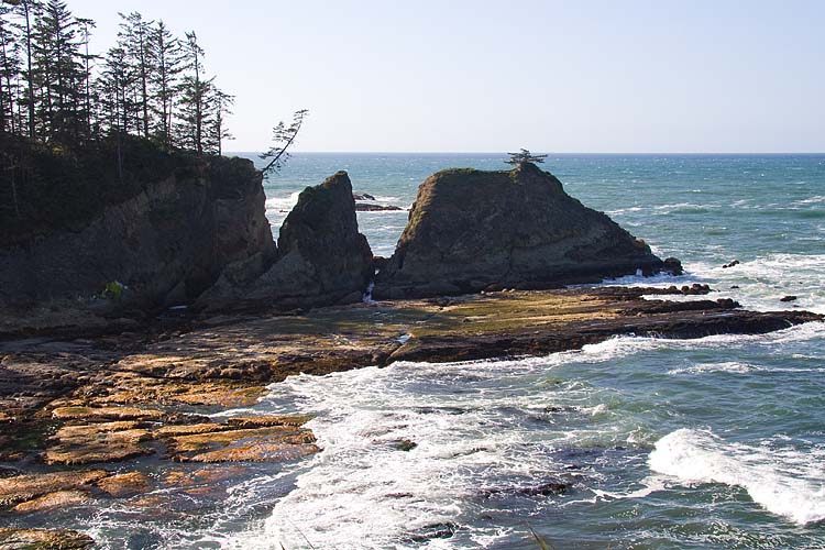 Cape Arago
