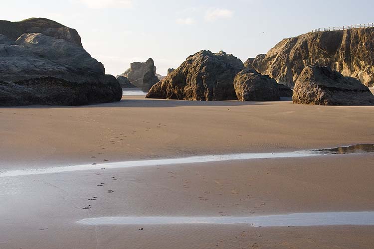 Footprints In the Sand