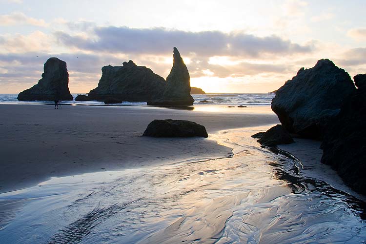 Golden Reflection