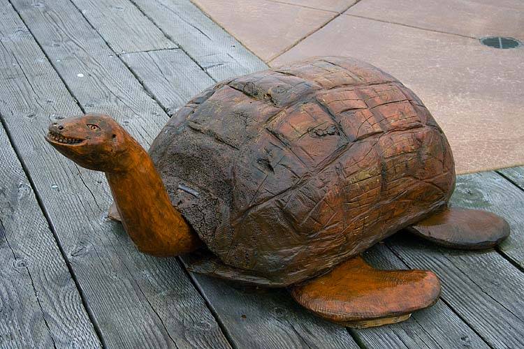 Carved Turtle