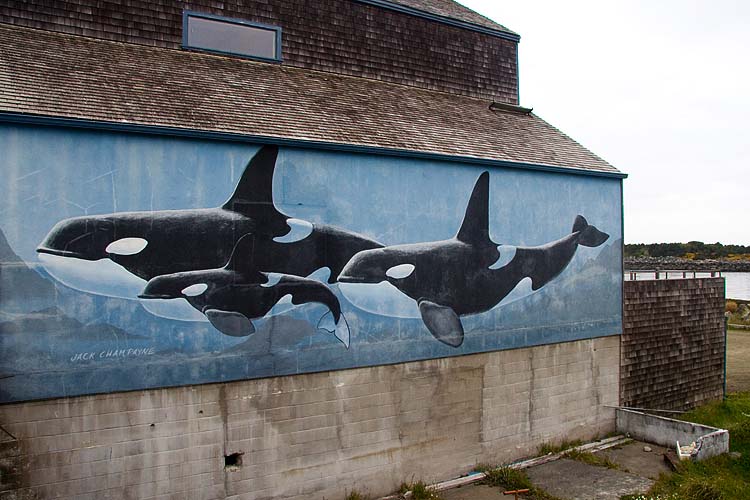 Orcas