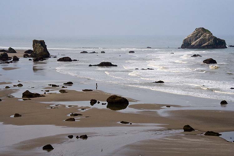 Low Tide