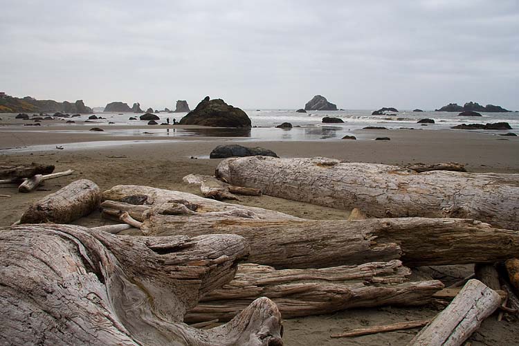 Last Look At Bandon Beach