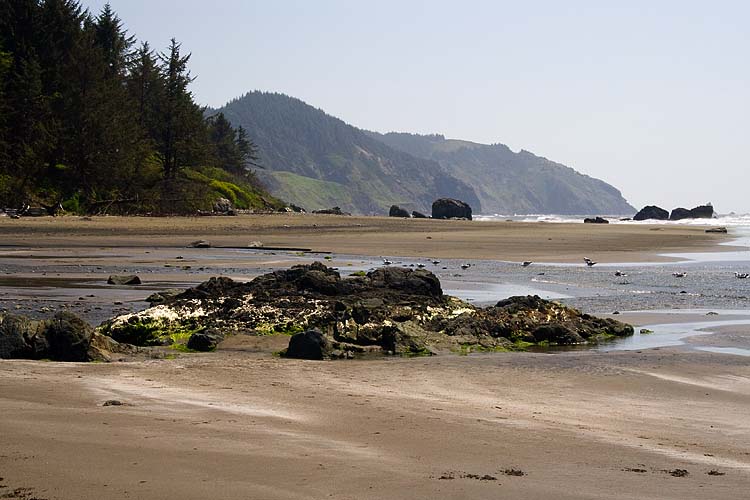 Boardman Beach