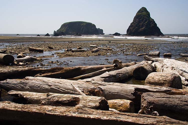 Driftwood at Whale Rock