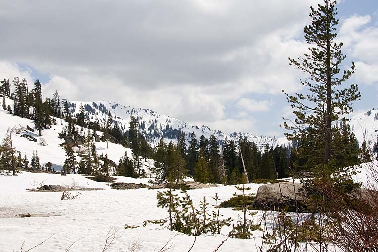 Snowy Landscape
