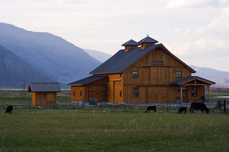 Barn in Nevada