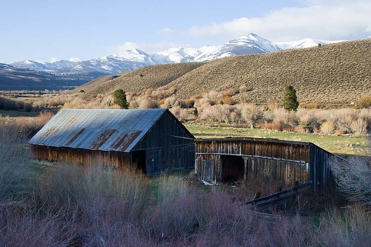 Barn at Sunrise