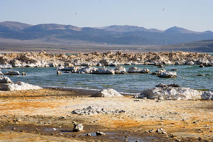Mono Lake, Old Marina Site