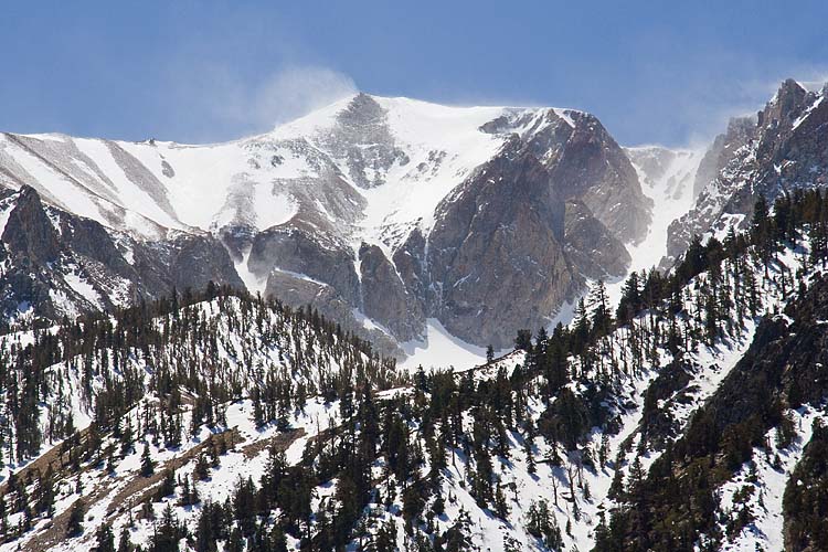 Winter On the Mountain
