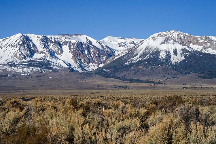 Mountains and Sagebrush