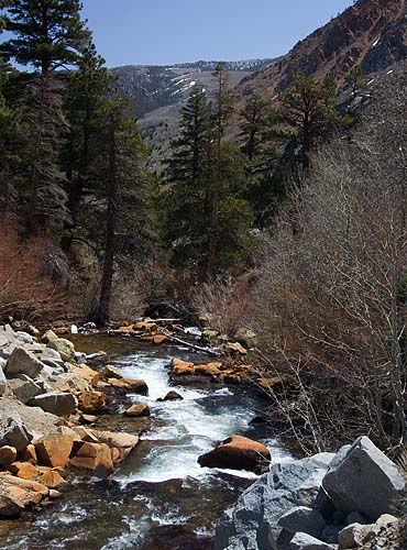 Mountain Stream