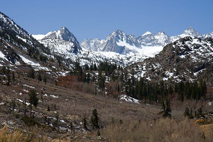 Mountain Meadows